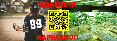 ПСИЛОЦИБИНОВЫЕ ГРИБЫ Гусиноозёрск