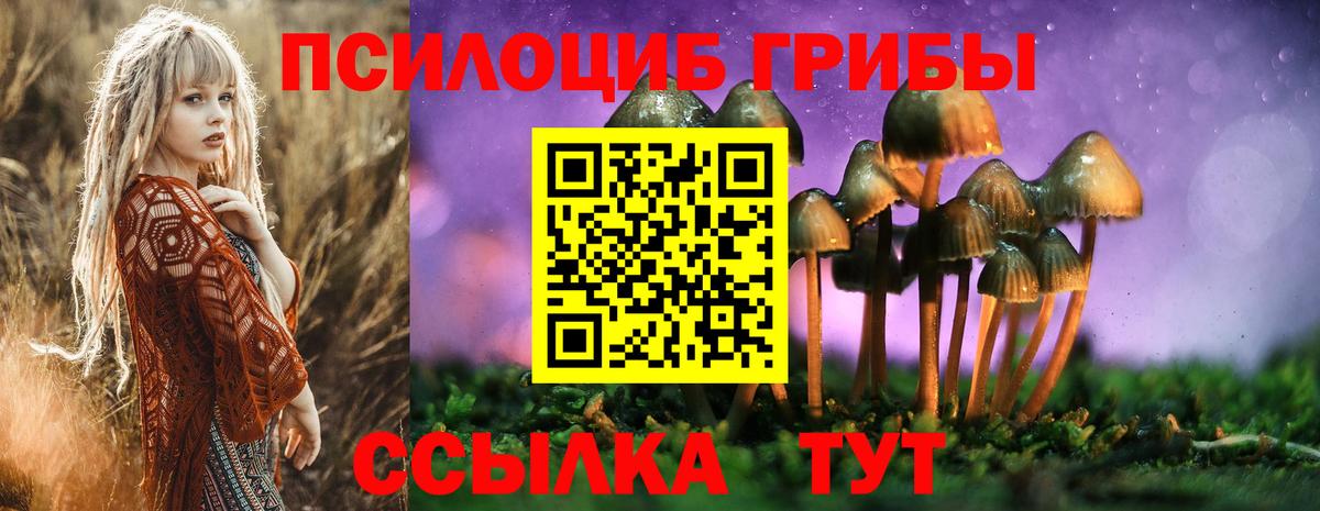 Псилоцибиновые грибы мицелий Печора