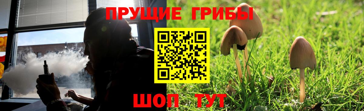 магазин продажи   Псилоцибиновые грибы Psilocybine cubensis  Псилоцибиновые грибы мухоморы  Вход с VPN  Печора 